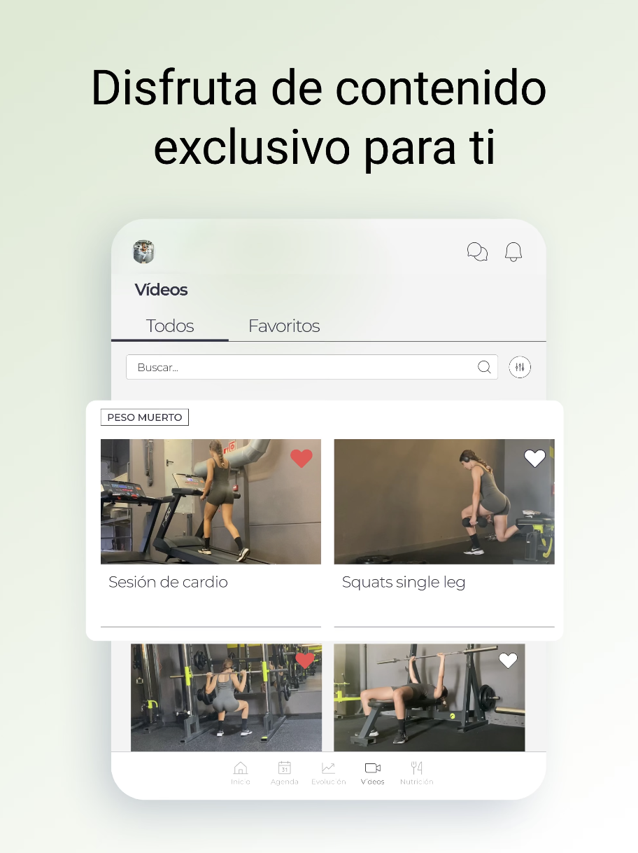 Contenido exclusivo organizado por categorías